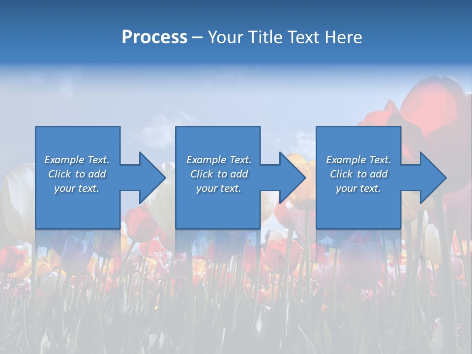 Tulip Yellow Multi Colored PowerPoint Template