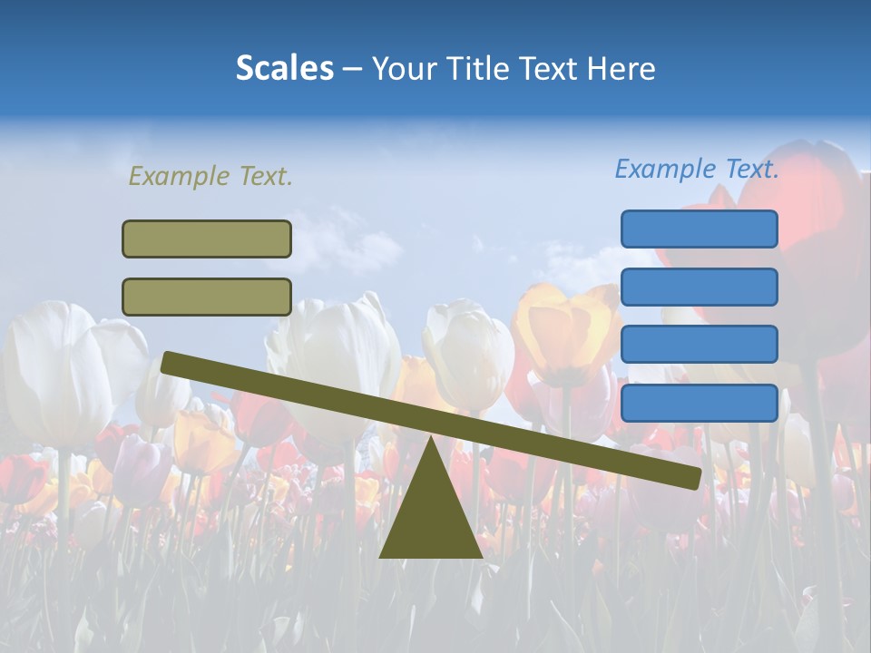 Tulip Yellow Multi Colored PowerPoint Template
