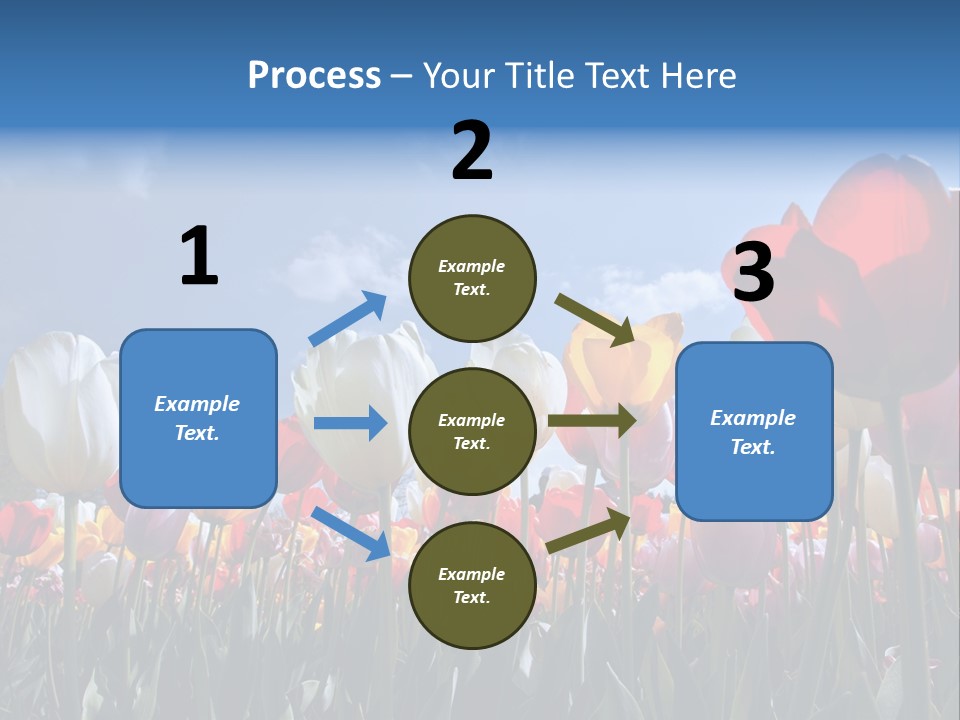 Tulip Yellow Multi Colored PowerPoint Template