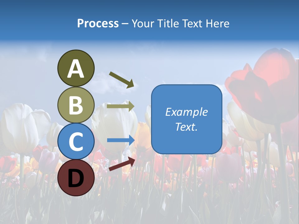 Tulip Yellow Multi Colored PowerPoint Template
