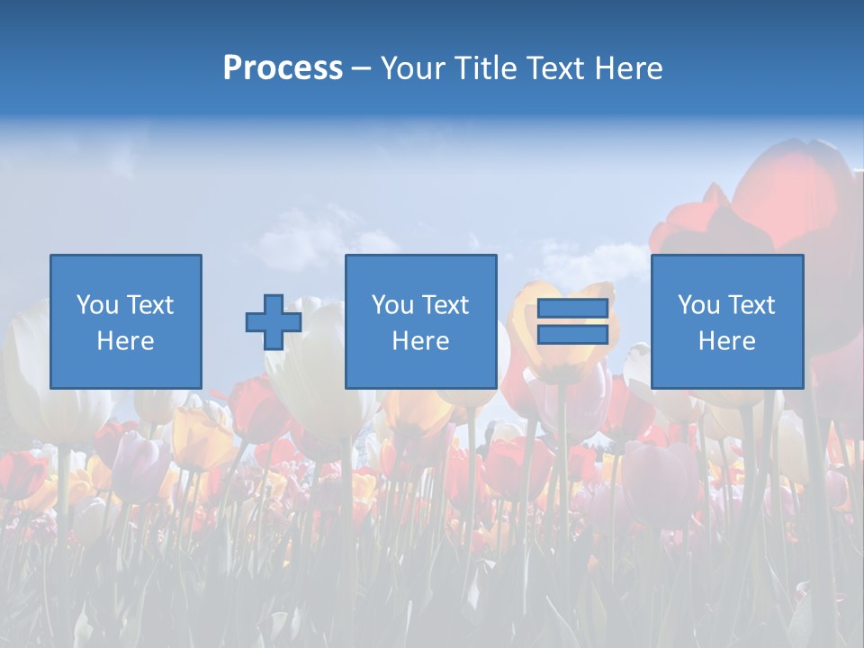 Tulip Yellow Multi Colored PowerPoint Template