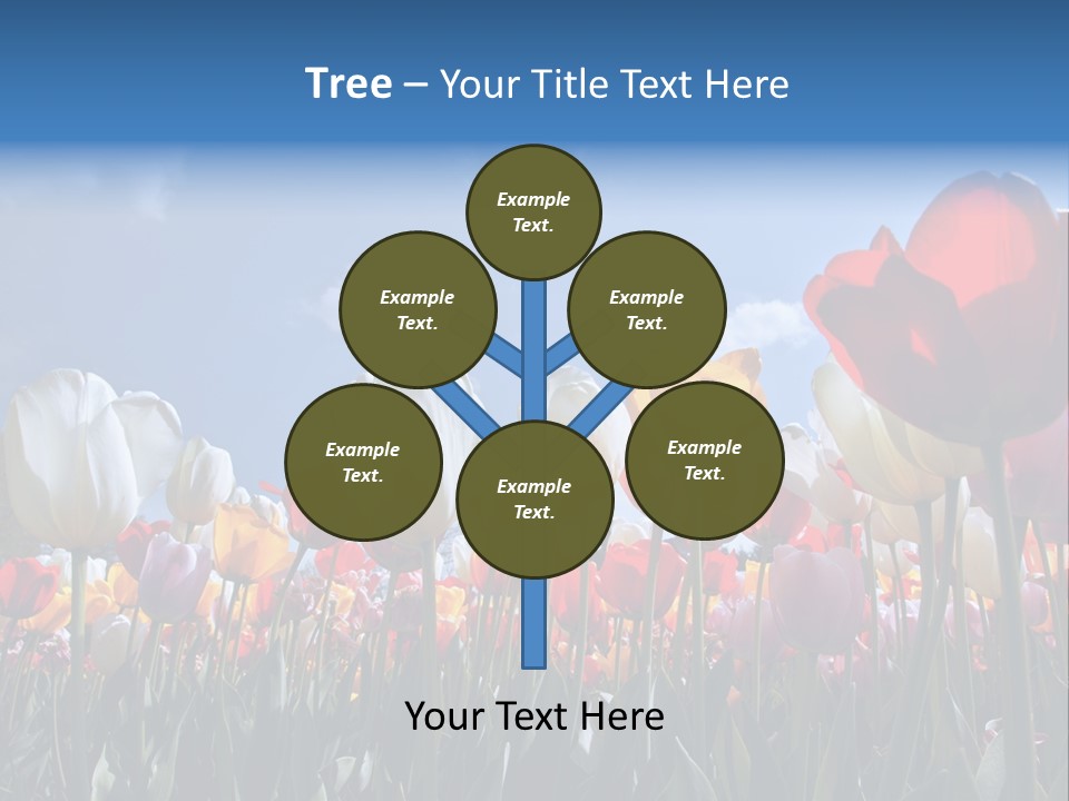 Tulip Yellow Multi Colored PowerPoint Template