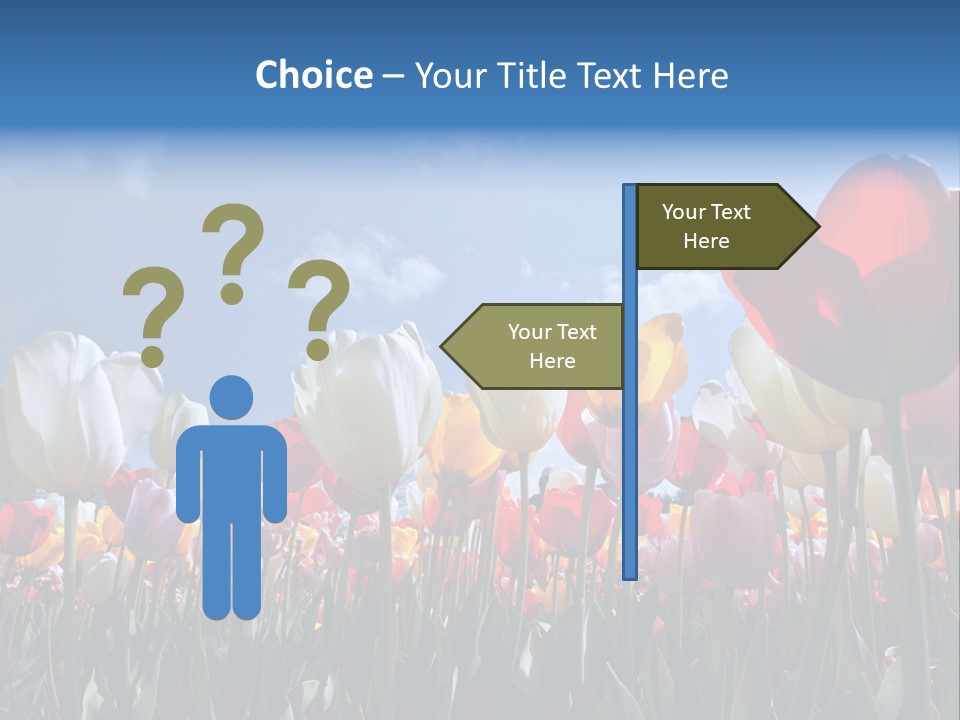 Tulip Yellow Multi Colored PowerPoint Template