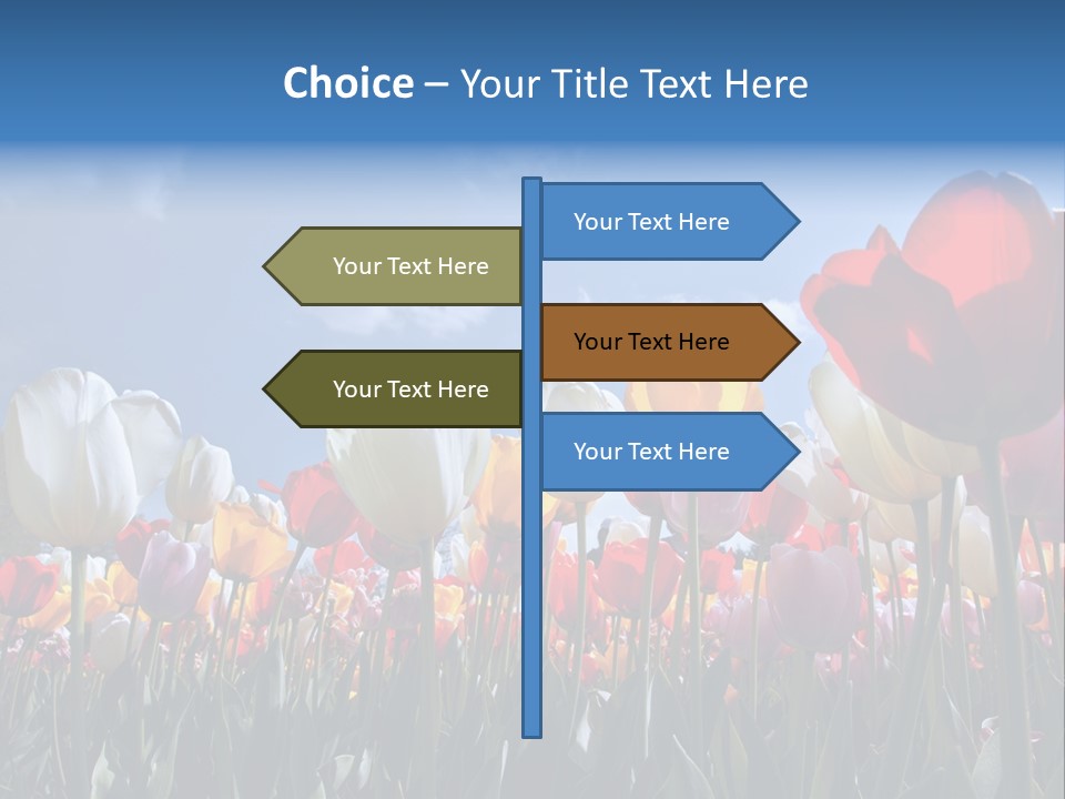 Tulip Yellow Multi Colored PowerPoint Template