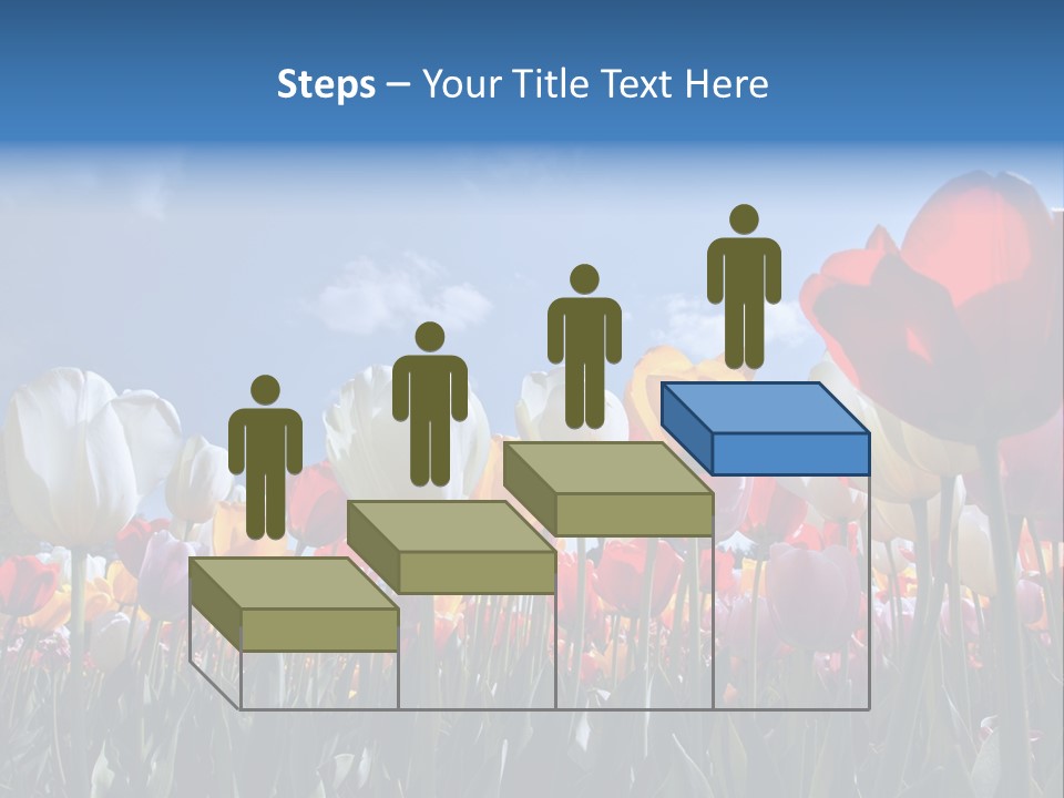 Tulip Yellow Multi Colored PowerPoint Template