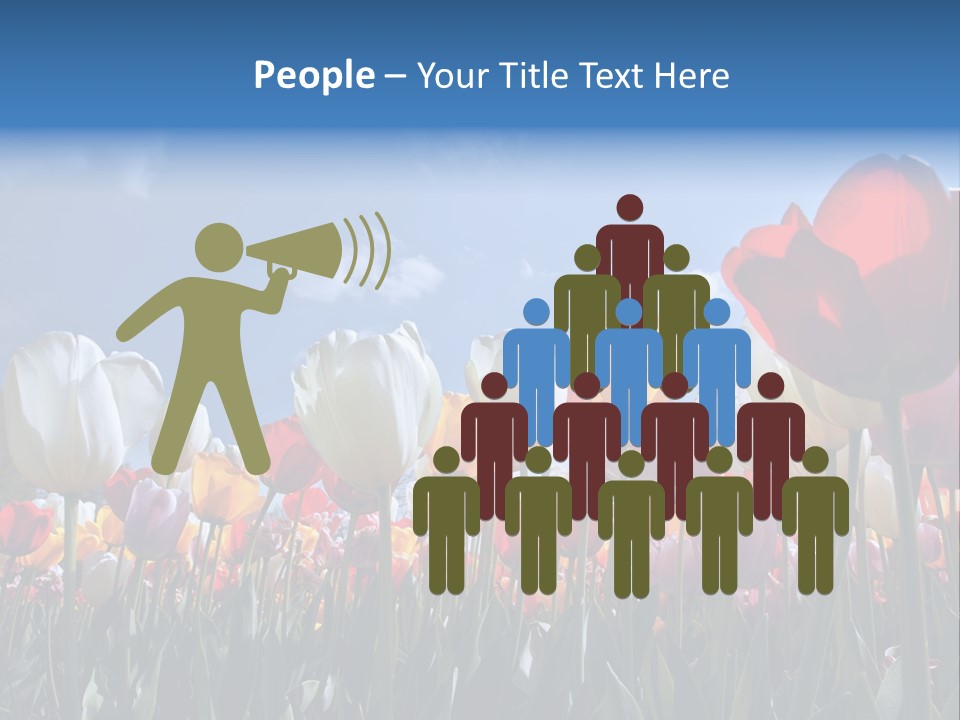 Tulip Yellow Multi Colored PowerPoint Template