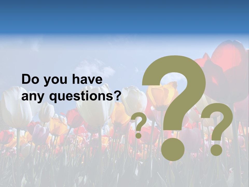 Tulip Yellow Multi Colored PowerPoint Template