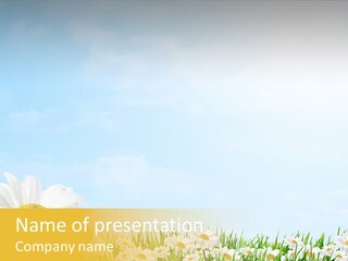 Nature Floral Color Full PowerPoint Template