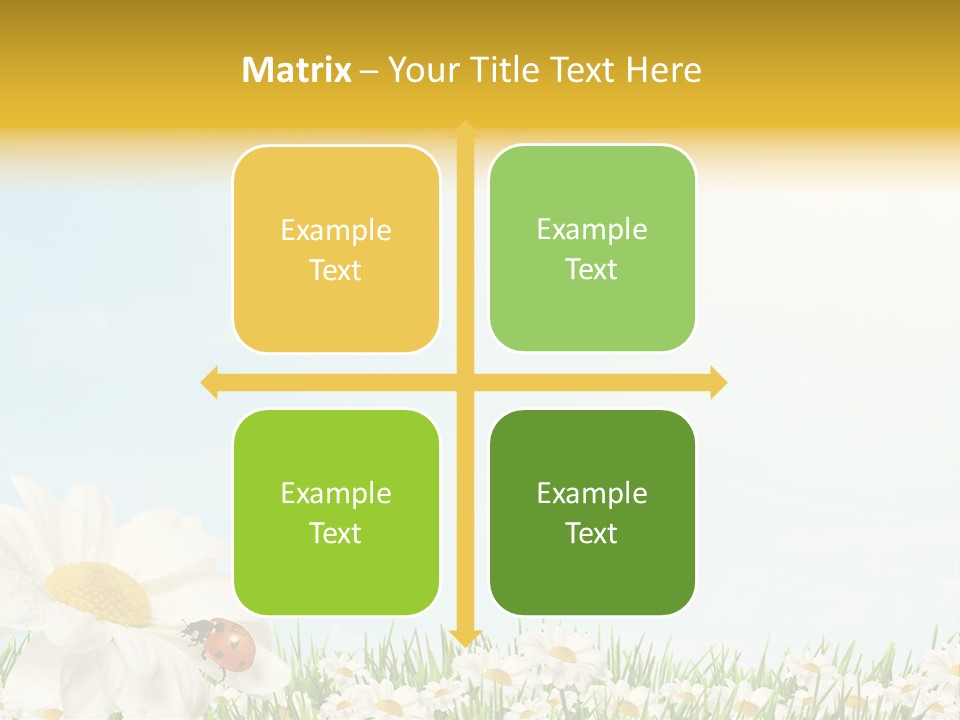 Nature Floral Color Full PowerPoint Template