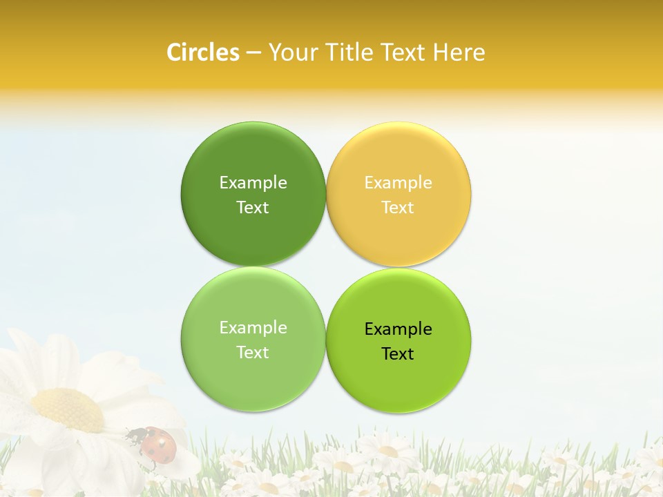 Nature Floral Color Full PowerPoint Template