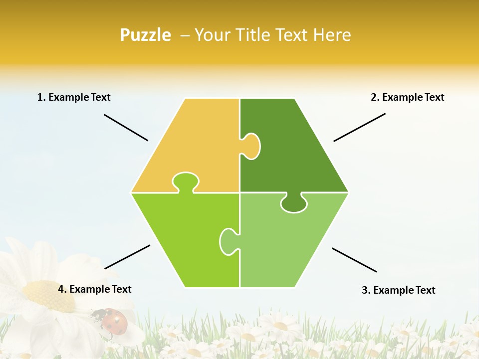 Nature Floral Color Full PowerPoint Template