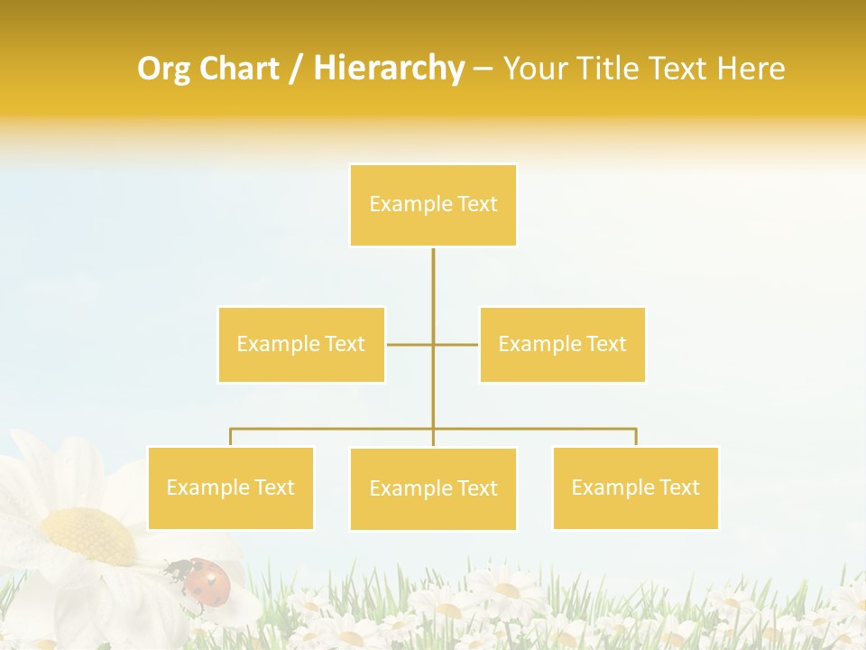 Nature Floral Color Full PowerPoint Template