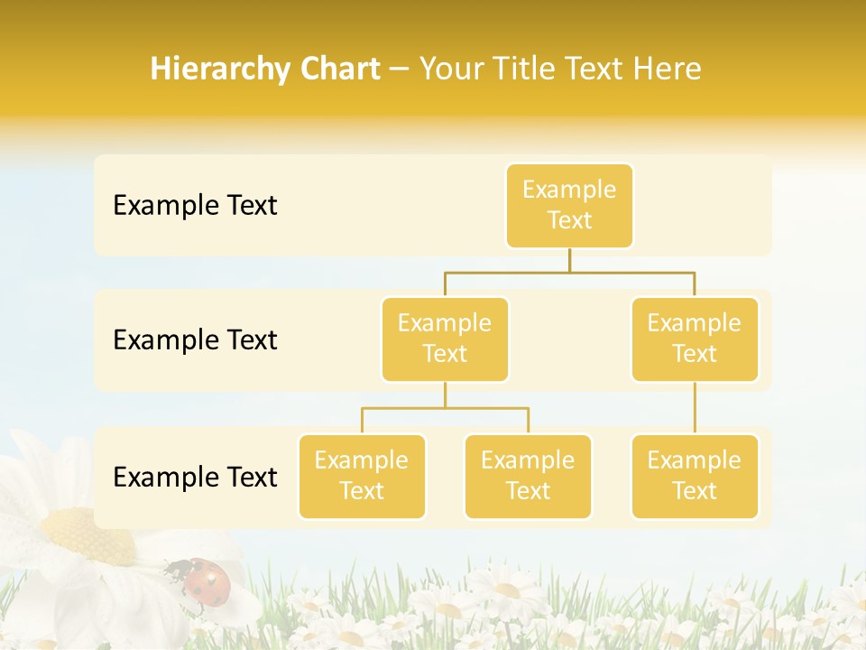 Nature Floral Color Full PowerPoint Template