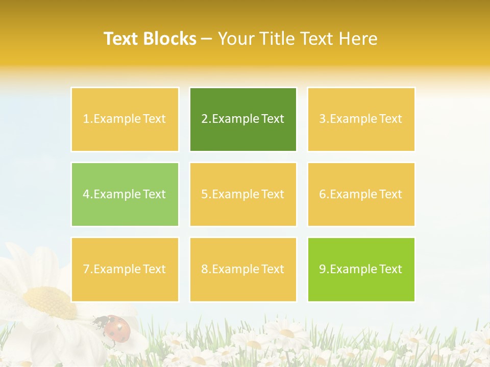 Nature Floral Color Full PowerPoint Template