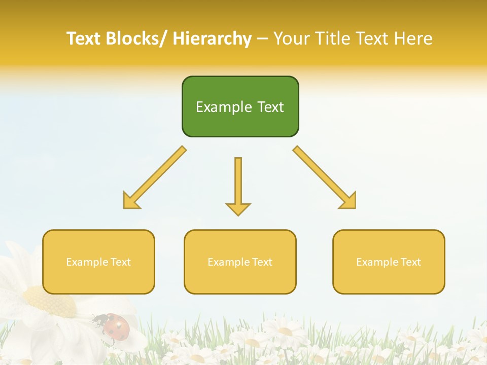 Nature Floral Color Full PowerPoint Template