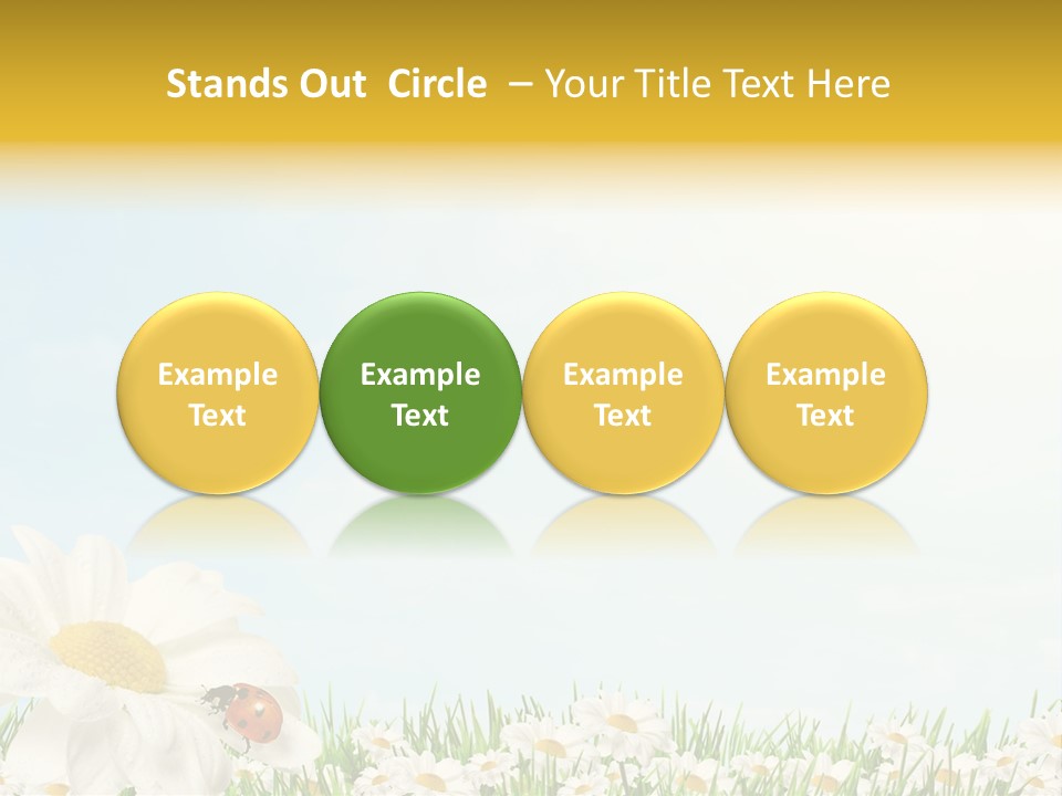 Nature Floral Color Full PowerPoint Template