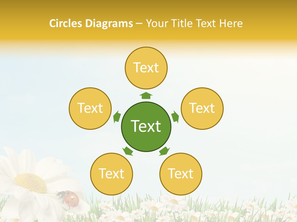 Nature Floral Color Full PowerPoint Template