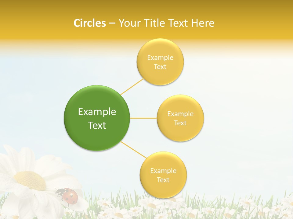 Nature Floral Color Full PowerPoint Template