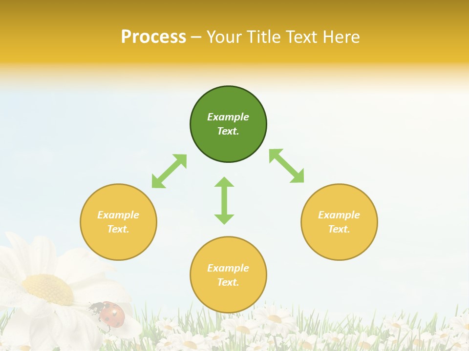 Nature Floral Color Full PowerPoint Template