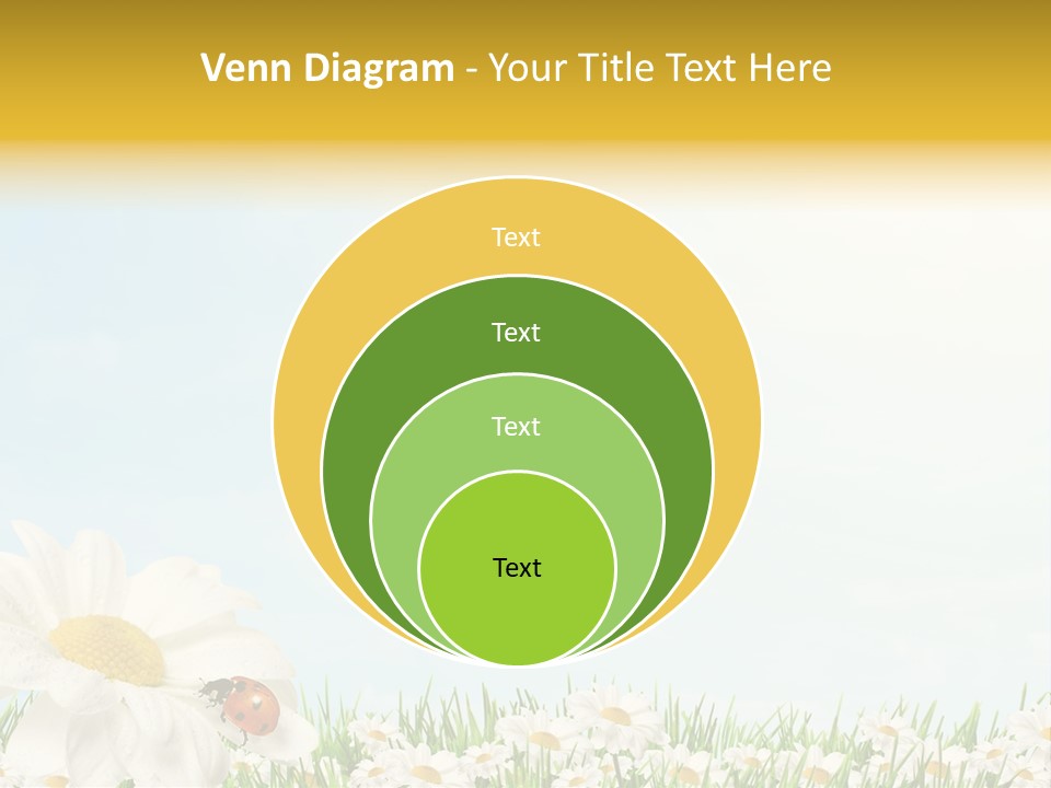 Nature Floral Color Full PowerPoint Template