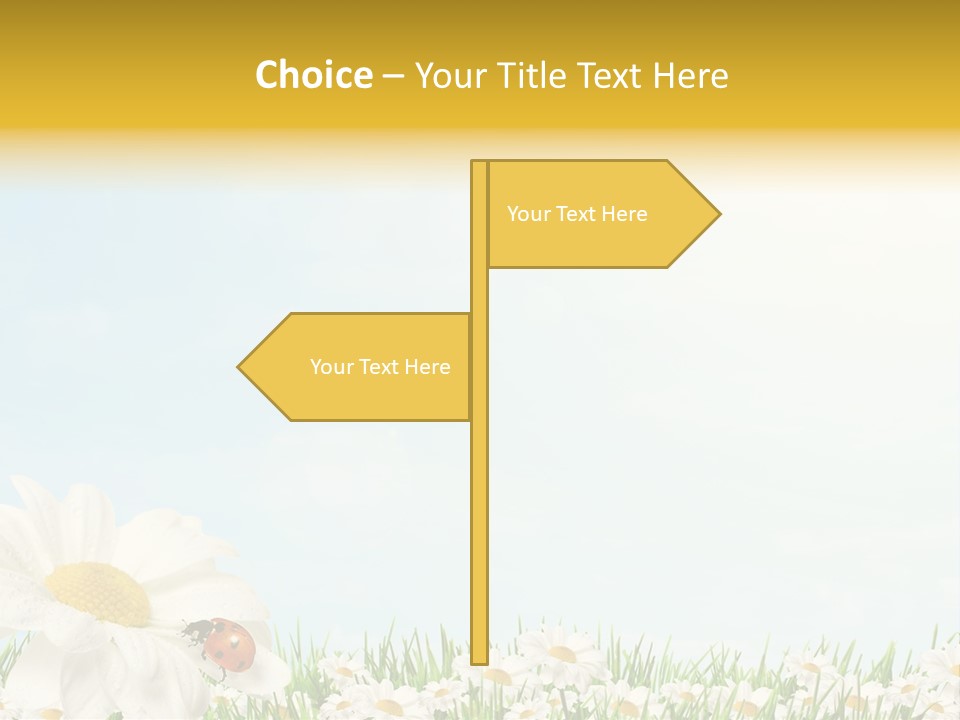 Nature Floral Color Full PowerPoint Template