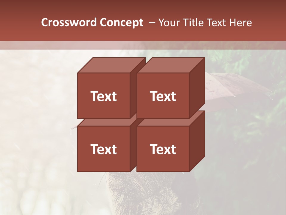 Calm Spring Woman PowerPoint Template