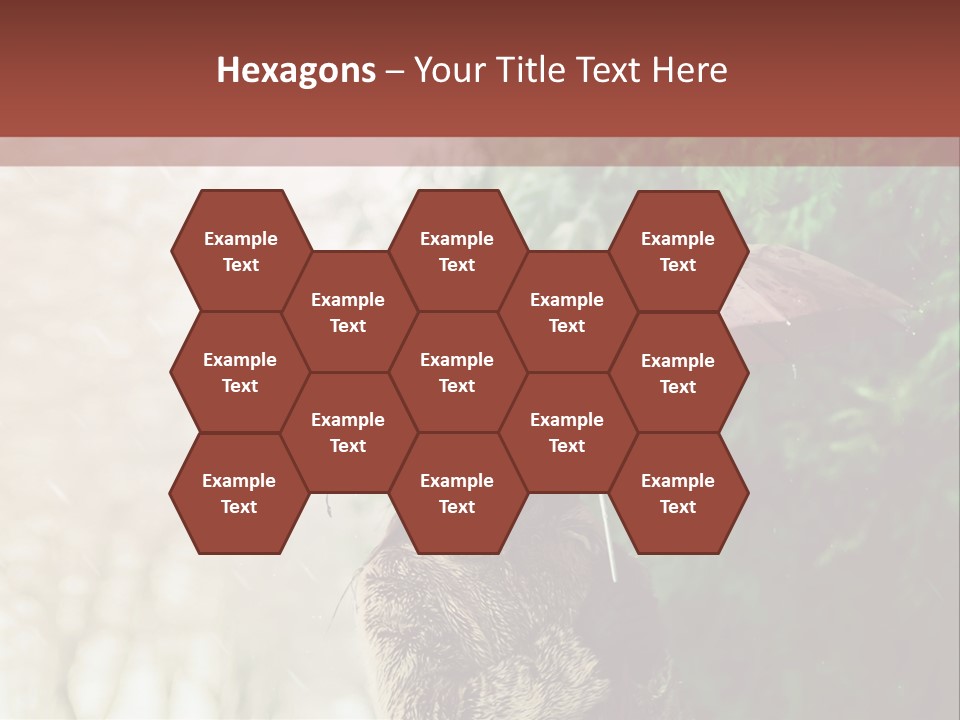 Calm Spring Woman PowerPoint Template