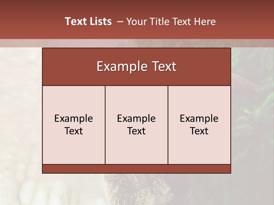Calm Spring Woman PowerPoint Template