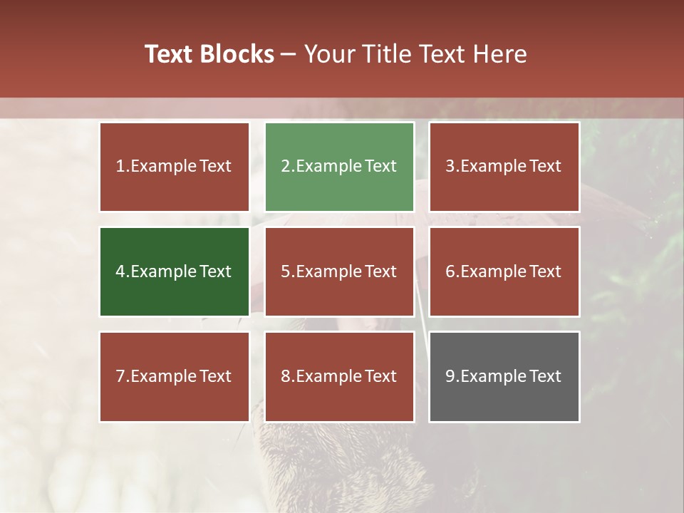 Calm Spring Woman PowerPoint Template