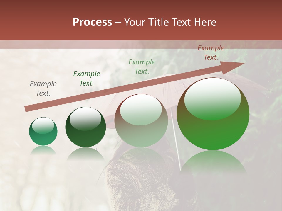 Calm Spring Woman PowerPoint Template