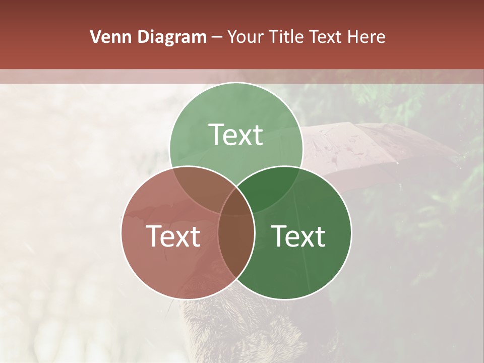 Calm Spring Woman PowerPoint Template