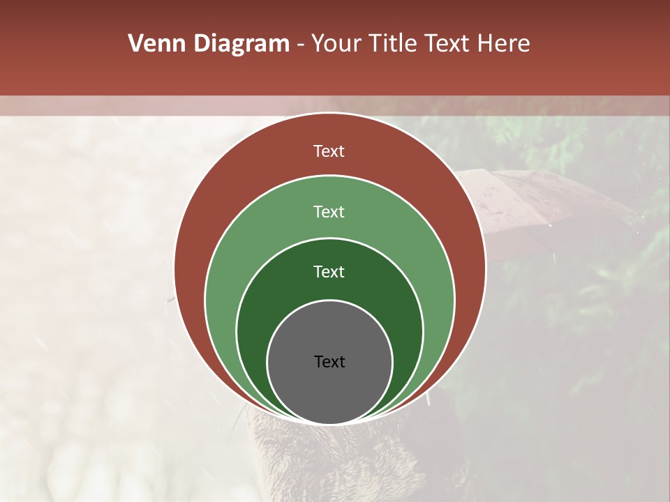 Calm Spring Woman PowerPoint Template