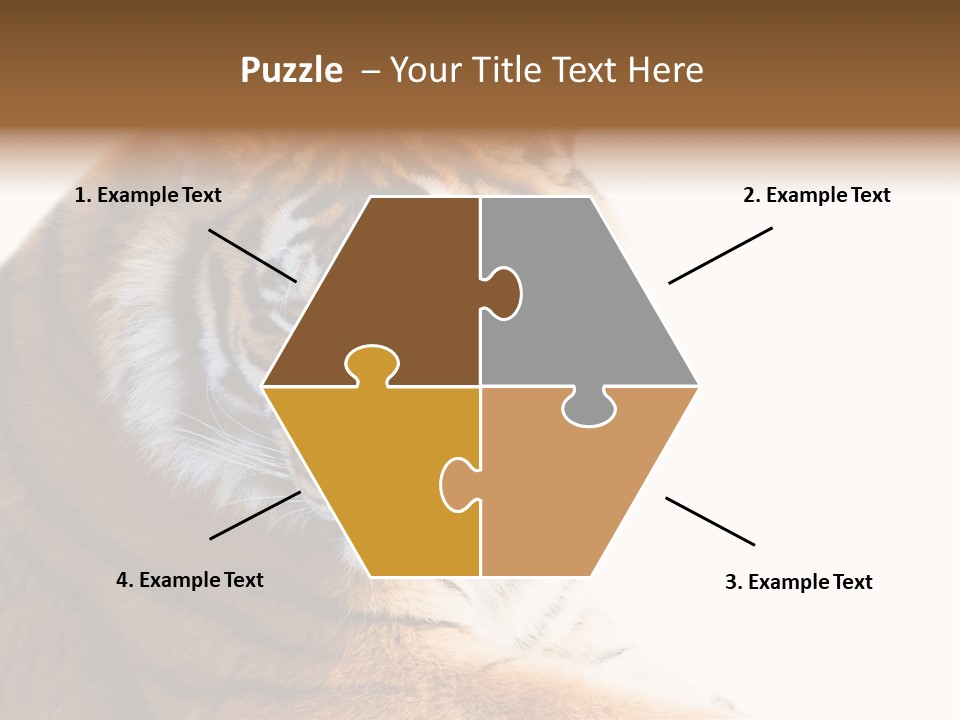 Close Carnivore Gaze PowerPoint Template