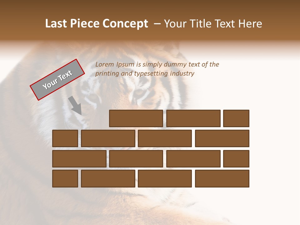 Close Carnivore Gaze PowerPoint Template