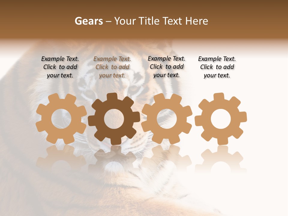 Close Carnivore Gaze PowerPoint Template