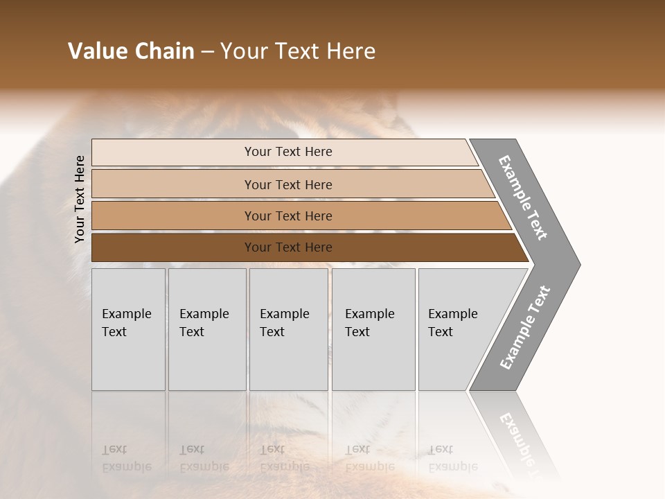 Close Carnivore Gaze PowerPoint Template