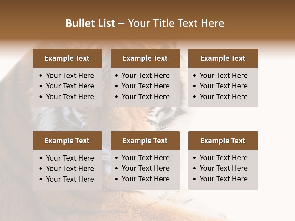 Close Carnivore Gaze PowerPoint Template