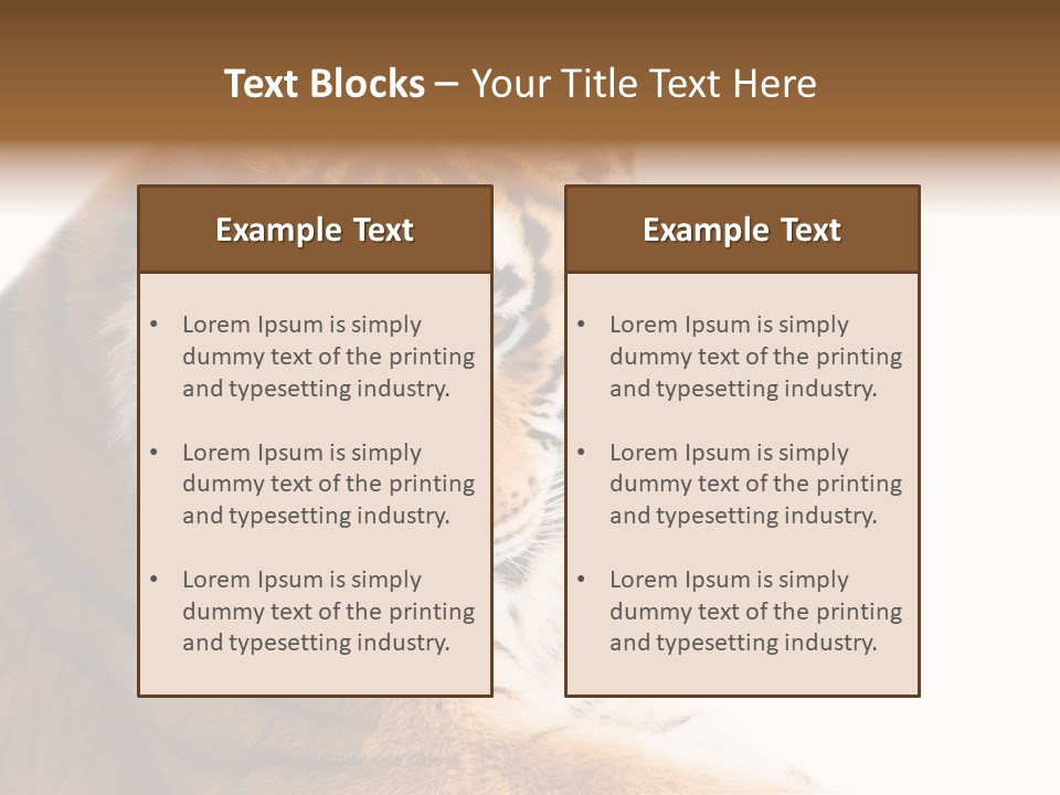 Close Carnivore Gaze PowerPoint Template