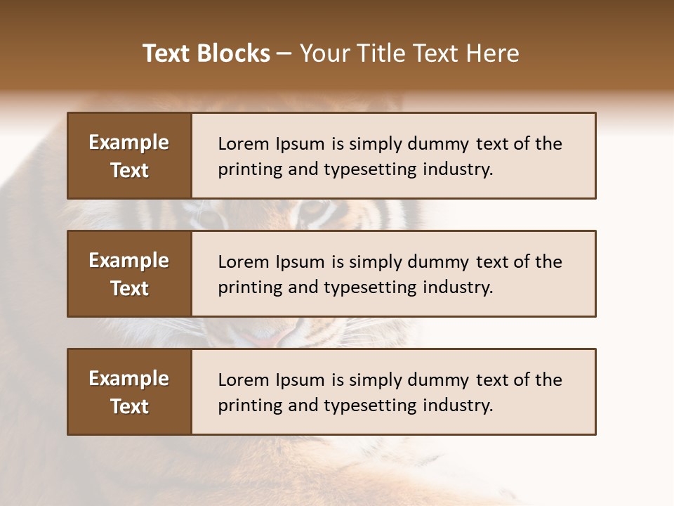 Close Carnivore Gaze PowerPoint Template