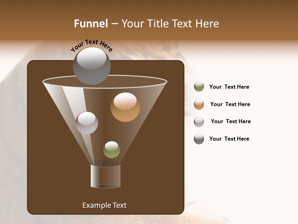 Close Carnivore Gaze PowerPoint Template