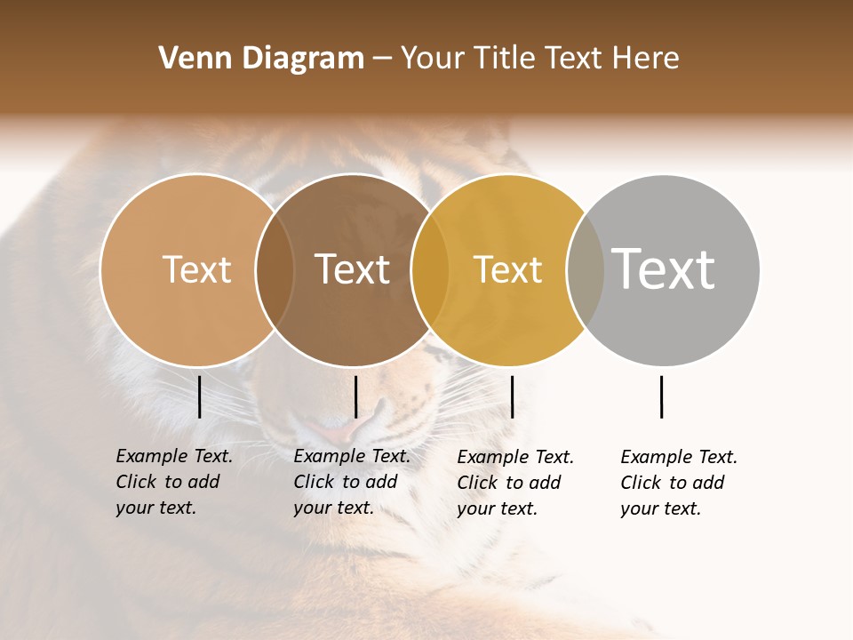 Close Carnivore Gaze PowerPoint Template