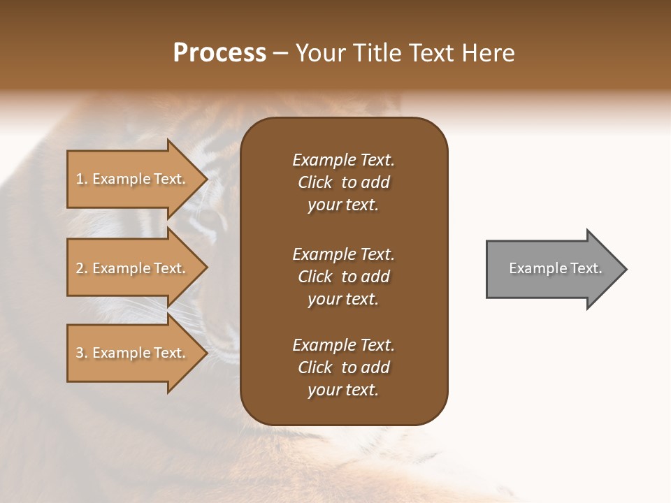 Close Carnivore Gaze PowerPoint Template