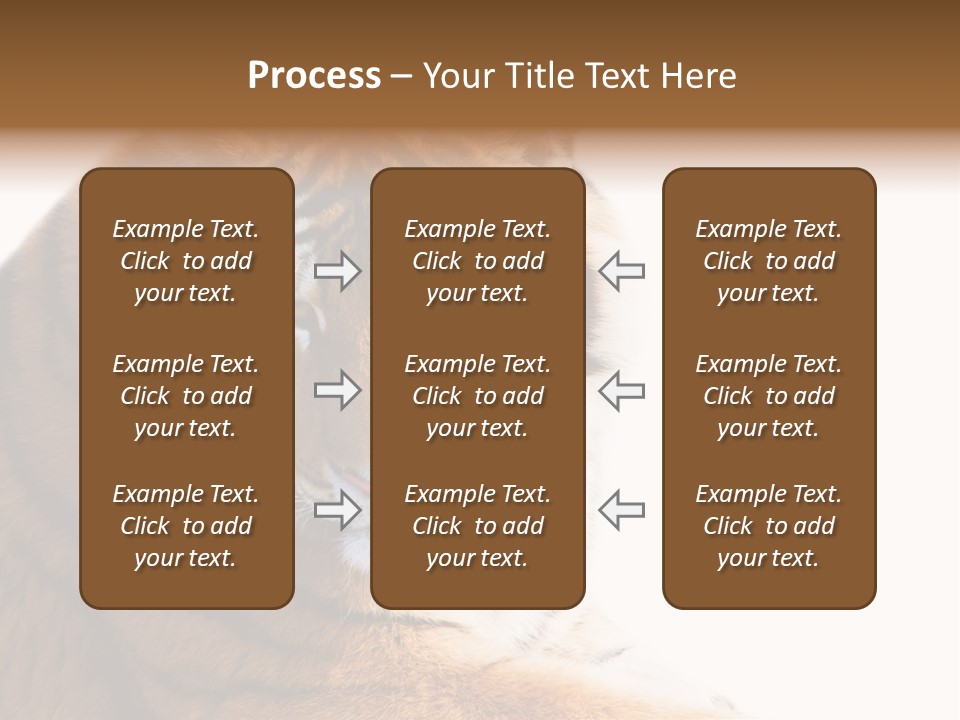 Close Carnivore Gaze PowerPoint Template