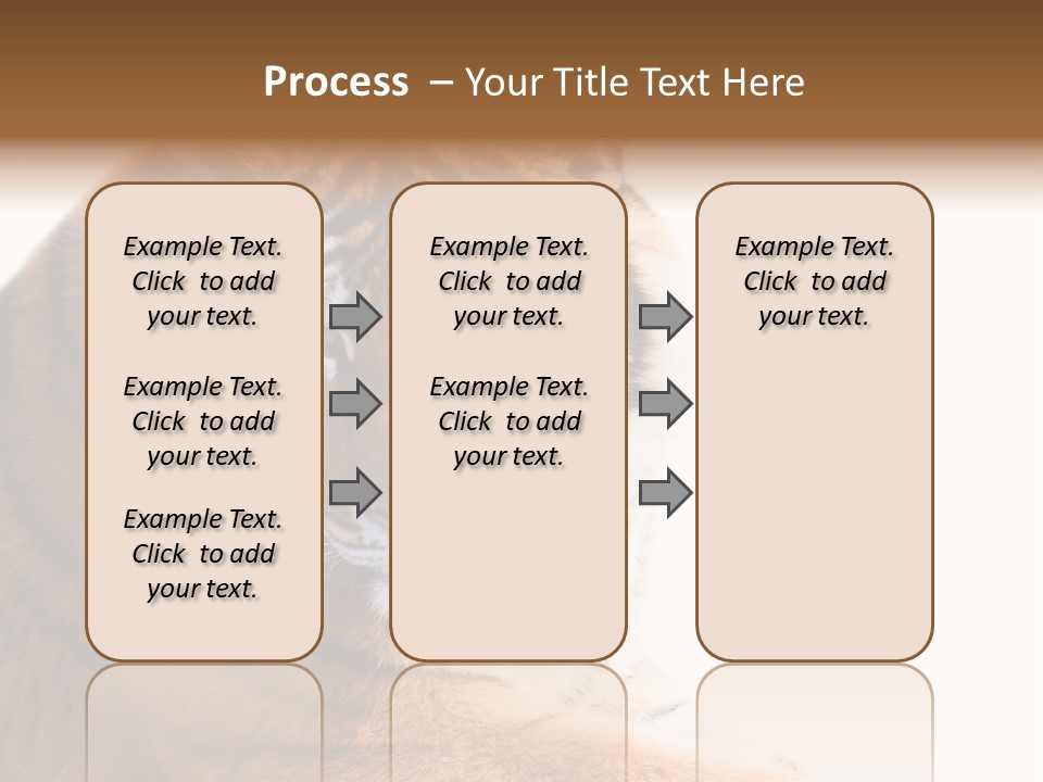 Close Carnivore Gaze PowerPoint Template