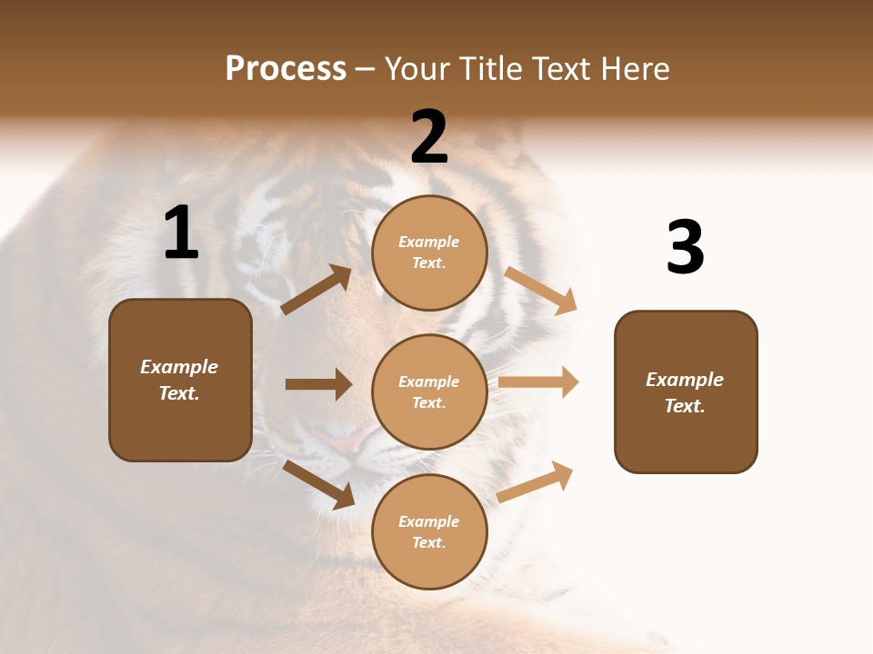 Close Carnivore Gaze PowerPoint Template