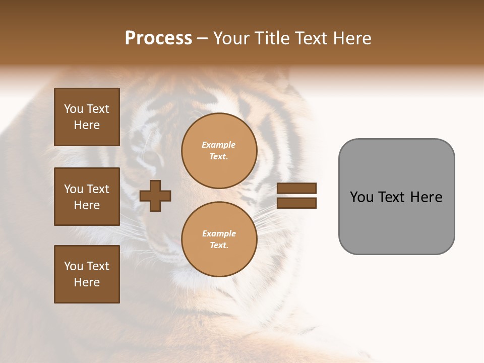 Close Carnivore Gaze PowerPoint Template