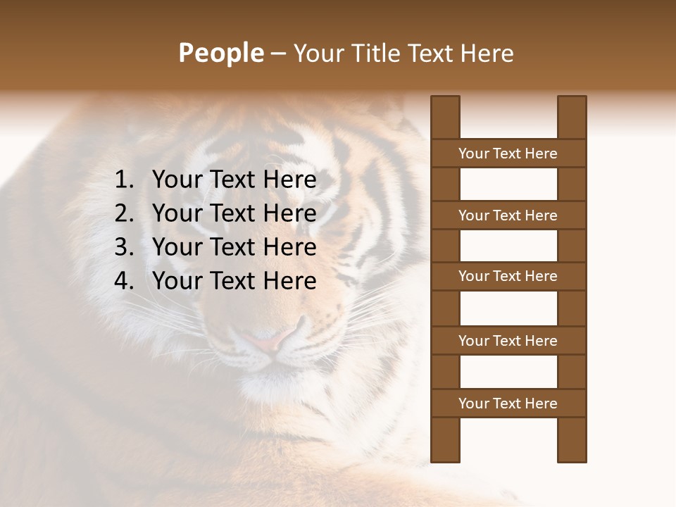 Close Carnivore Gaze PowerPoint Template