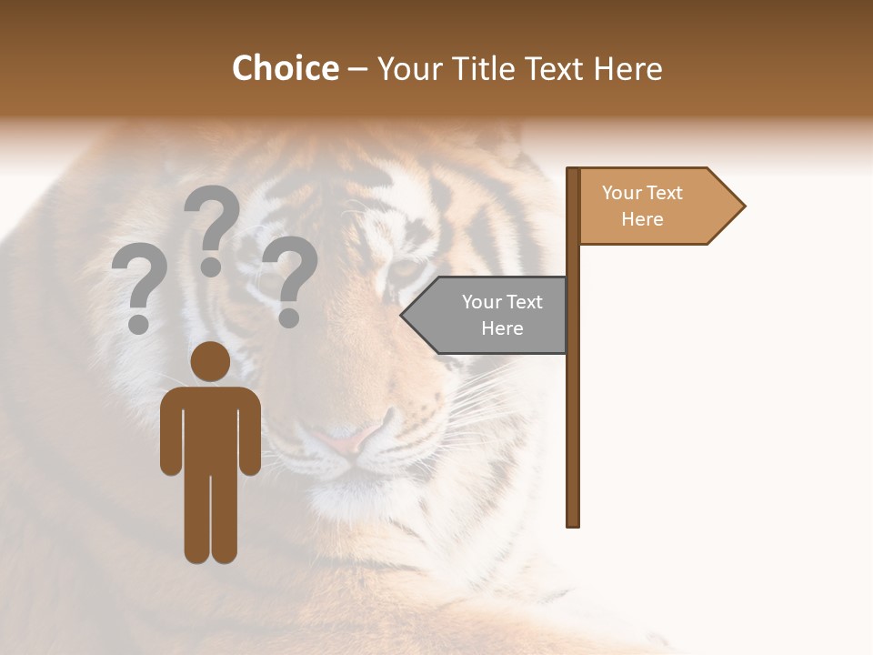 Close Carnivore Gaze PowerPoint Template