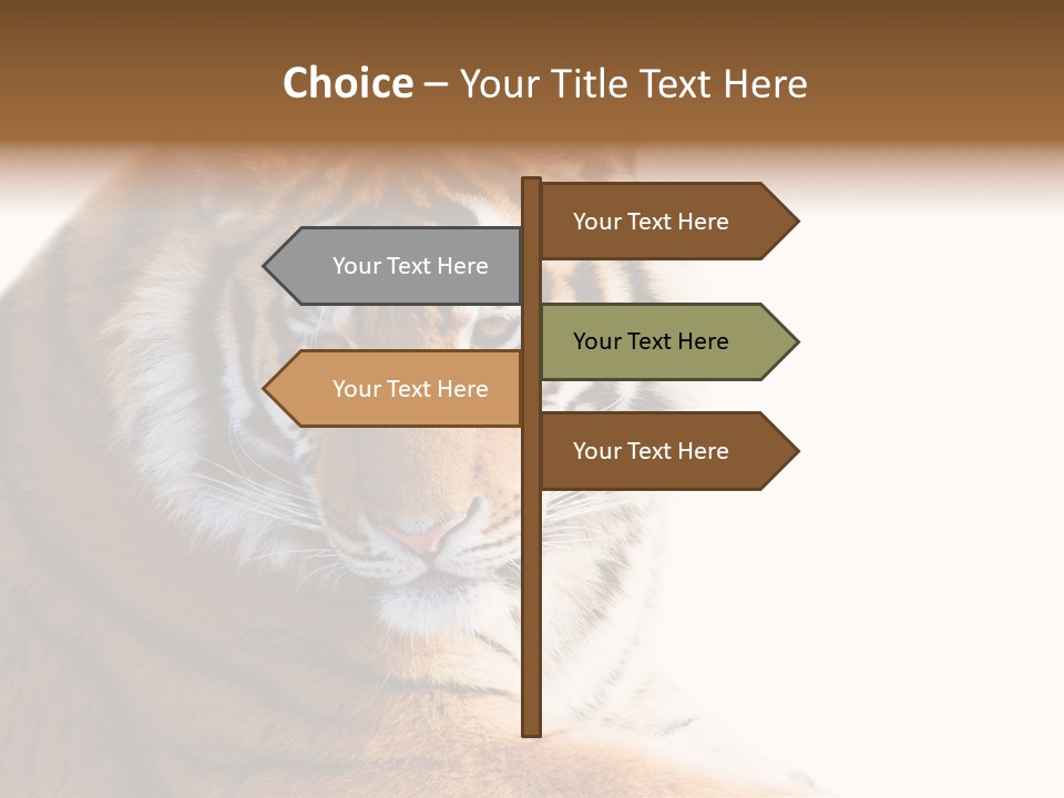 Close Carnivore Gaze PowerPoint Template