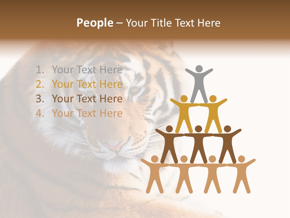 Close Carnivore Gaze PowerPoint Template